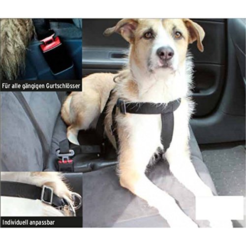Hunde Sicherheitsgurt 60-75cm Anschnallgurt Verbindungsgurt Auto Sicherheitsgurt von Markenlos
