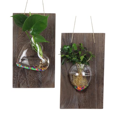 Marooma 2 Stück Glasvasen Zum Aufhängen an der Wand, Massivholz-Glasvase Zur Wandmontage, Transparente Terrarium-Vase für Hydrokultur-Blumen, Pflanzen, Heimbüro-Gartendekoration Marooma 2 Stück Glasvasen Zum Aufhängen an der Wand, Massivholz-Glasvase Zur Wandmontage, Transparente Terrarium-Vase für Hydrokultur-Blumen, Pflanzen, Heimbüro-Gartendekoration von Marooma