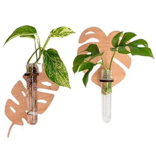Marooma 2er-Pack Pflanzenvermehrungsstation mit Röhren Zum Aufhängen an der Wand, Kleines Pflanzenterrarium mit Holzständer, Transparente Anzuchtvase für Hydrokultur, Haus, Garten Marooma 2er-Pack Pflanzenvermehrungsstation mit Röhren Zum Aufhängen an der Wand, Kleines Pflanzenterrarium mit Holzständer, Transparente Anzuchtvase für Hydrokultur, Haus, Garten von Marooma