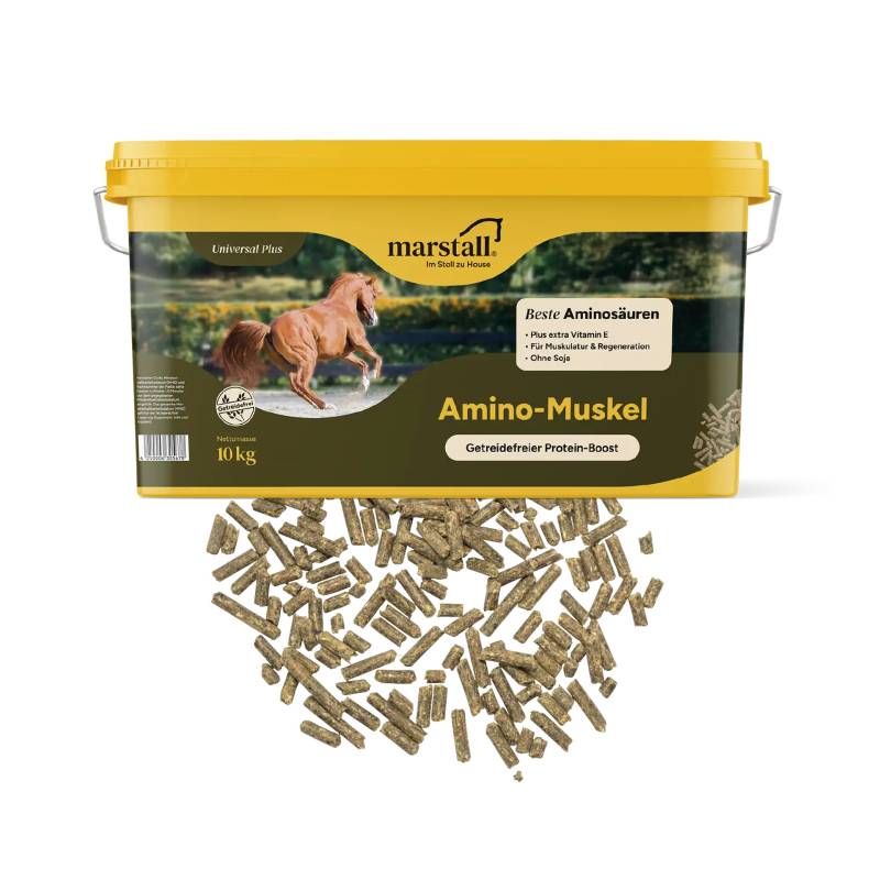 Marstall Amino-Muskel 10kg fördert den Muskelaufbau Marstall Amino-Muskel 10kg fördert den Muskelaufbau von Marstall