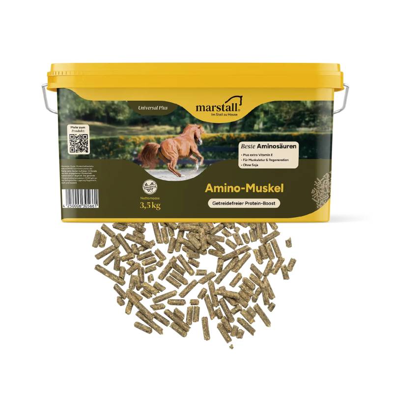 Marstall Amino Muskel 3,5kg fördert den Muskelaufbau Marstall Amino Muskel 3,5kg fördert den Muskelaufbau von Marstall