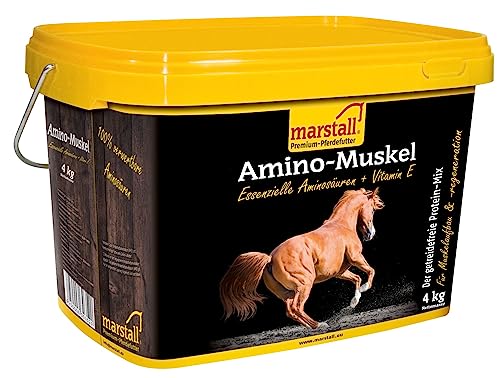 Marstall Premium-Pferdefutter Amino Muskel 3,5kg Fördert den Muskelaufbau bei großen Pferden von marstall Premium-Pferdefutter