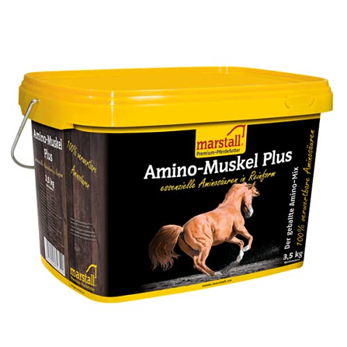 marstall Premium-Pferdefutter Amino-Muskel Plus, 1er Pack (1 x 3.5 kilograms) von marstall Premium-Pferdefutter