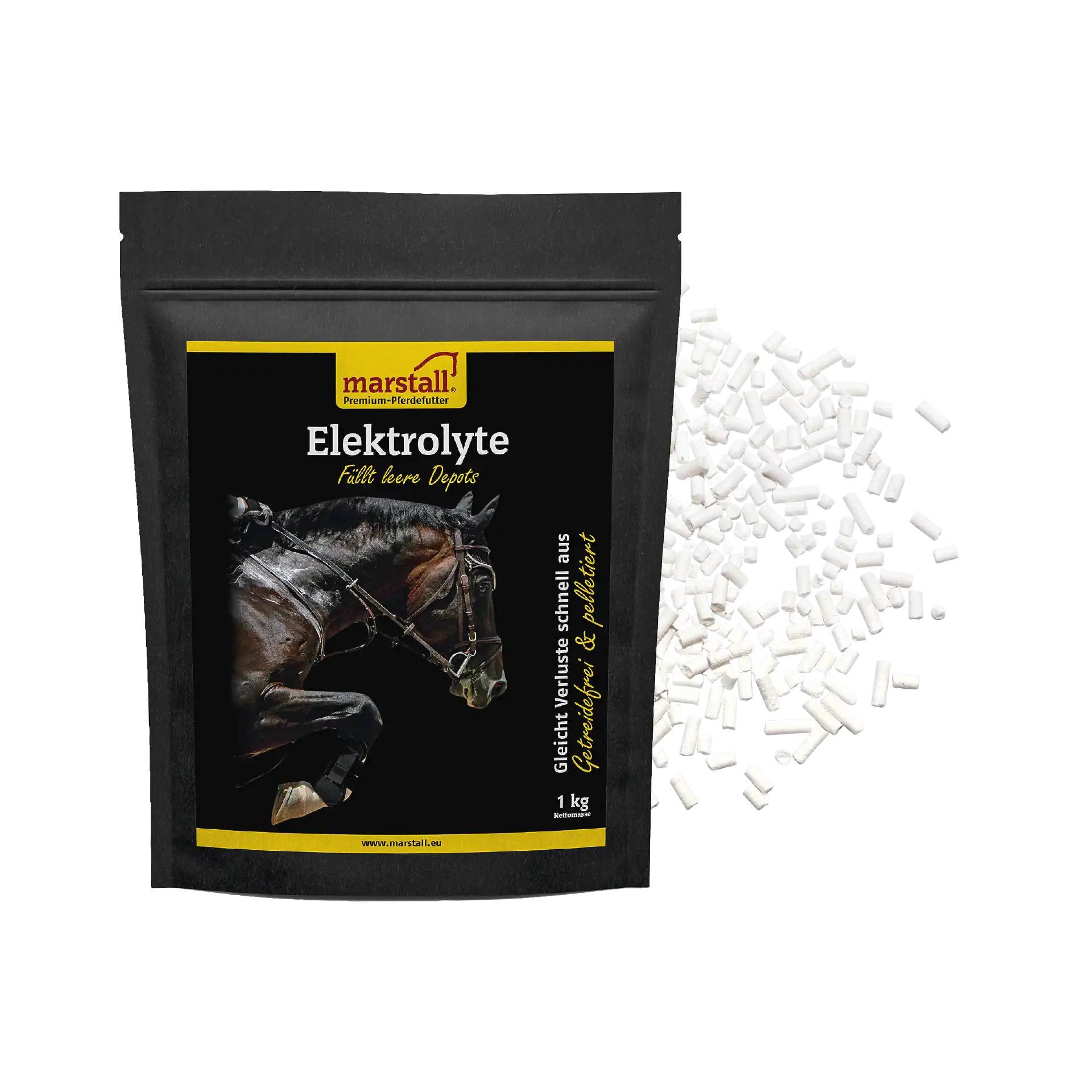 Marstall Elektrolyte 1 kg mit organischem Magnesium Marstall Elektrolyte 1 kg mit organischem Magnesium von Marstall