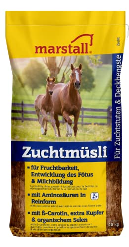 marstall Premium-Pferdefutter Zuchtmüsli, 1er Pack (1 x 20 kilograms) von marstall Premium-Pferdefutter