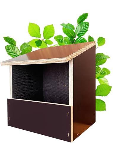 Martenbrown® Nistkasten Halbhöhle für Rotkehlchen & Nischenbrüter – wetterfest, 16,5 x 9 cm Öffnung – Vogelhaus aus Siebdruckplatten für Garten, Balkon, Fassade – Vogel Nistkasten von Martenbrown
