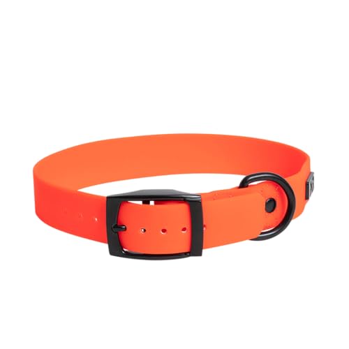 Martin Rütter Hundehalsband Softvinyl Neonorange, Größe XXL – Robust, weich und flexibel – Wasserabweisend und pflegeleicht Martin Rütter Hundehalsband Softvinyl Neonorange, Größe XXL – Robust, weich und flexibel – Wasserabweisend und pflegeleicht von Martin Rütter