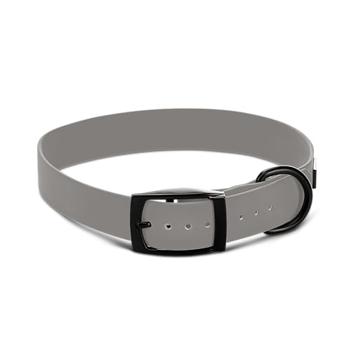 Martin Rütter Hundehalsband Softvinyl Platingrau, Größe XXL – Robust, weich und flexibel – Wasserabweisend und pflegeleicht Martin Rütter Hundehalsband Softvinyl Platingrau, Größe XXL – Robust, weich und flexibel – Wasserabweisend und pflegeleicht von Martin Rütter
