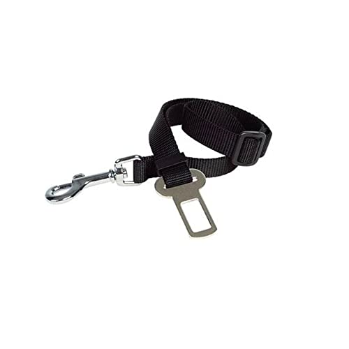Martin Sellier Sicherheitsgurt für Auto, 20 mm Martin Sellier Sicherheitsgurt für Auto, 20 mm von Martin Sellier