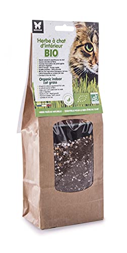 Material: Bio-Katzengras zum Aussaaten von Martin Sellier