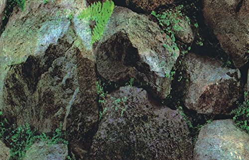 Marty KB05 1111 Beidseitige Tapete - Pflanzen/Felsen, 30.5 cm von Marty