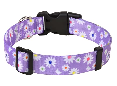 MarukoPet Hundehalsband, Verstellbares, Weich & Komfort Hunde Halsband, für Kleine, Mittlere Große Hunde, Böhmisches, Blumen, geometrisches, Stammes Design(Lila Daisy,M) von MarukoPet