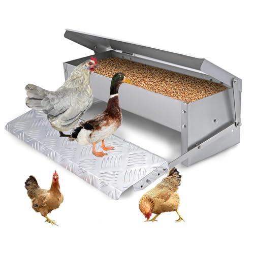 Automatischer Futterspender für Hühner, 5 kg Kapazität, wasserdicht, selbstöffnend, verzinkter Stahl, rattensicher, mit Edelstahlschaufel, Hühnerstall, Futterstation für Huhn und Ente von MasXirch