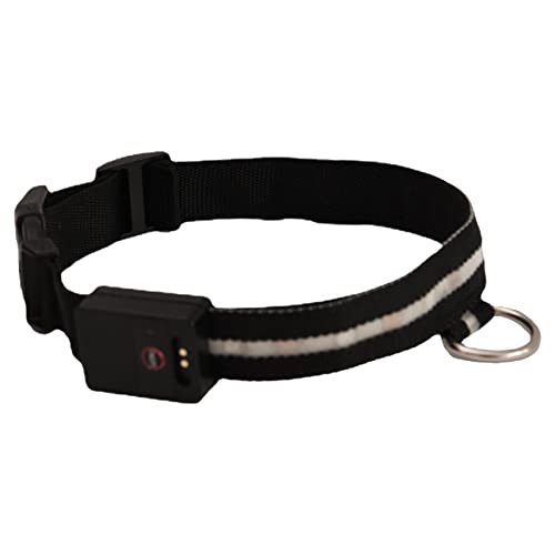 Maseaxi Leuchthalsbänder für Hunde, wiederaufladbar – Sicherheitshalsband für Haustiere, wasserdicht für die Dunkelheit | Leuchthalsbänder für Haustiere zum Spazierengehen von Maseaxi