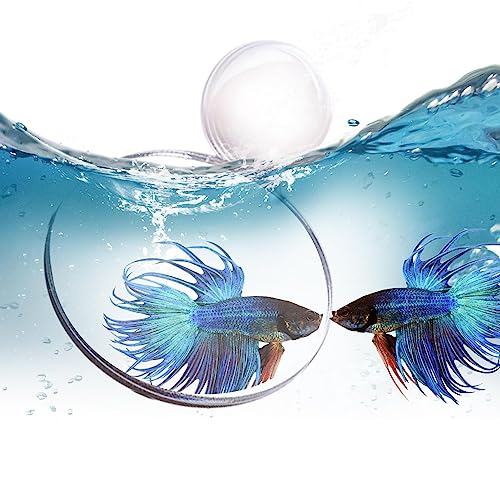 Betta Fischspiegel - Doppelseitig klebender Aquarium-Fischspiegel | Amüsante Aquarium-Dekoration für Aquarien, Büro, Zuhause und Wohnzimmer Maseyivi von Maseyivi