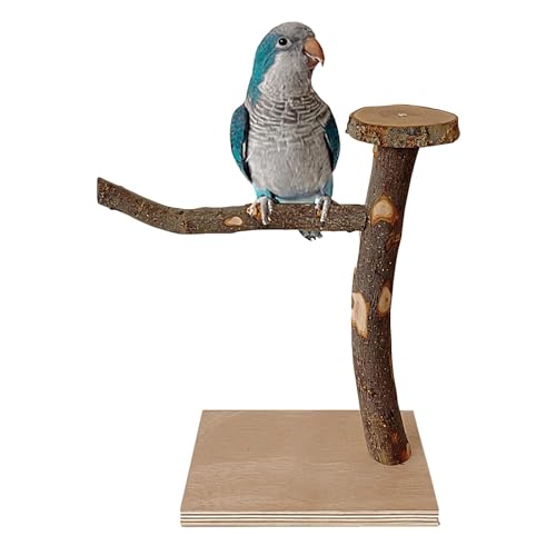 Vogelsitzspielzeug, Holzsitzstange - Kauspielzeug Holzständer für Papageien | Vogelkauspielzeug mit stabiler Standbasis für Nymphensittiche, Turteltauben, Sittiche, mittelgroße Papageien und Wellensit von Maseyivi