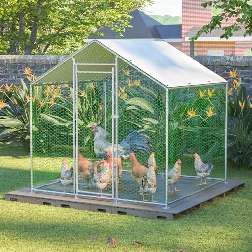 Massbinet Freilaufgehege Hühnerstall 2x2x2m mit Sicherheitsschloss und Wasserdichtes PE-Tuch, Freilaufgehege aus Metall für Hühner, Kaninchen und weitere Kleintiere Massbinet Freilaufgehege Hühnerstall 2x2x2m mit Sicherheitsschloss und Wasserdichtes PE-Tuch, Freilaufgehege aus Metall für Hühner, Kaninchen und weitere Kleintiere von Massbinet