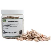 Masterfeed Trockenbarf Nordseekrabben 150 g von Masterfeed