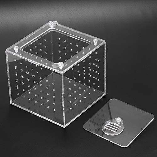 Gehege Acrylgehäuse 11 × 11 × 1pc Reptilien Terrarium Feeder Schlangen Echsenzüchtung Acrylbox Hülle Insekten Haus von Masyrt