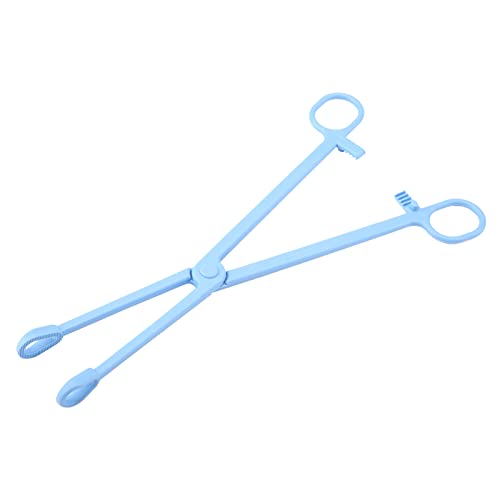 Masyrt Terrarium-Futterclip 33 x 11 x 1 cm, Kunststoff, nützlicher Haustier-Clip für Schlangen, Eidechsen, Reptilien, Tierfutter, Blau Masyrt Terrarium-Futterclip 33 x 11 x 1 cm, Kunststoff, nützlicher Haustier-Clip für Schlangen, Eidechsen, Reptilien, Tierfutter, Blau von Masyrt