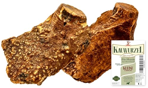 Kauwurzel für Hunde aus Baumheide Natürlicher Kausnack aus Hartholz Langlebig & splitterfrei Kleine 2 Stück Kauwurzel für Hunde aus Baumheide Natürlicher Kausnack aus Hartholz Langlebig & splitterfrei Kleine 2 Stück von Matchpet