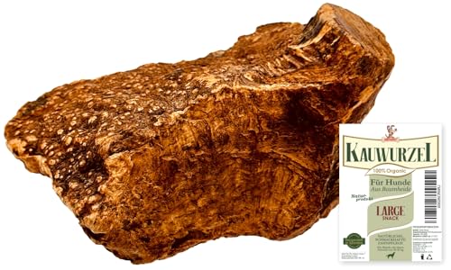 Kauwurzel für Hunde aus Baumheide Natürlicher Kausnack aus Hartholz Langlebig & splitterfrei Größe Large Kauwurzel für Hunde aus Baumheide Natürlicher Kausnack aus Hartholz Langlebig & splitterfrei Größe Large von Matchpet