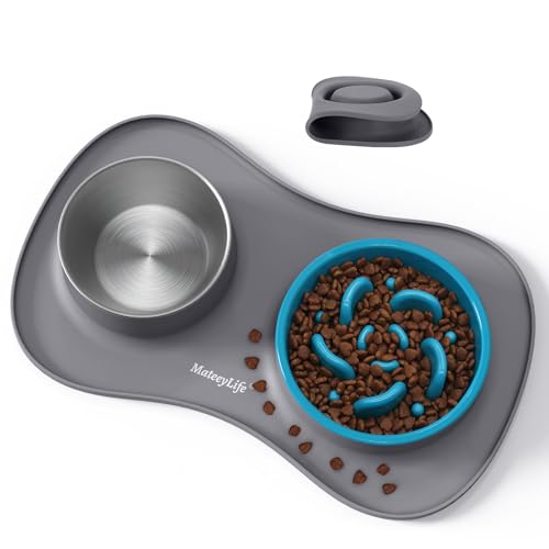 MateeyLife Dog Bowls Stainless Steel Slow Feeder von MateeyLife