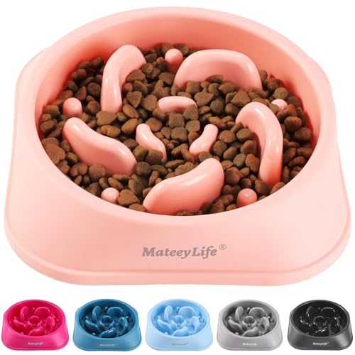 MateeyLife Hundenapf 2 Stück, Anti schling napf Hund – Rutschfester Slow Feeder Hundenapf für mittelgroße und große Hunde MateeyLife Hundenapf 2 Stück, Anti schling napf Hund – Rutschfester Slow Feeder Hundenapf für mittelgroße und große Hunde von MateeyLife