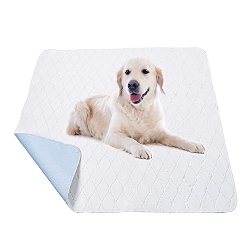 Mateju Dauerhaft Puppy Pads Wiederverwendbare - 1 Stück, Welpen Unterlage Urin Absorption PIPI Matten für Hunde Welpenunterlagen Waschbar Trainingspads für Hunde Meerschweinchen (S,Weiß) von Mateju