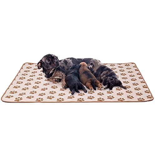 Mateju Dauerhaft Puppy Pads Wiederverwendbare 1 Stück, Welpen Unterlage Urin Absorption PIPI Matten für Hunde Welpenunterlagen Waschbar Trainingspads für Hunde Meerschweinchen (S-46x36cm,Khaki) von Mateju