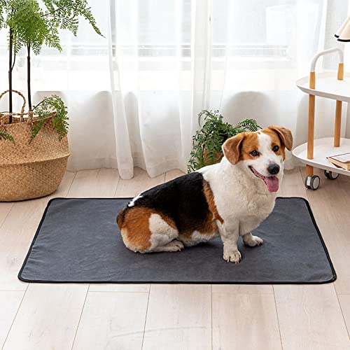 Mateju Puppy Pads Wiederverwendbare 1 Stück, Welpen Unterlage Urin Absorption PIPI Matten für Hunde Welpenunterlagen Waschbar Trainingspads für Hunde Meerschweinchen (183X183cm,grau) von Mateju