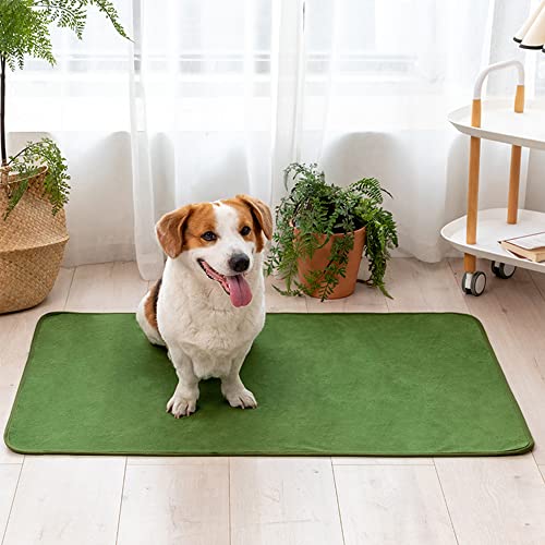 Mateju Puppy Pads Wiederverwendbare 1 Stück, Welpen Unterlage Urin Absorption PIPI Matten für Hunde Welpenunterlagen Waschbar Trainingspads für Hunde Meerschweinchen (183X183cm,grün) von Mateju