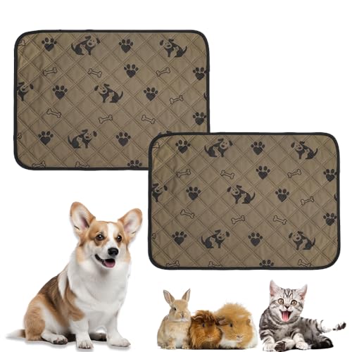Mateju Waschbar Haustier-Urinunterlage Wiederverwendbare 2 Stück Welpenunterlagen Matte für Hunde, Trainingsunterlagen Welpen Rutschfest Saugfähig für Haus Reise Haustierkiste (30x30cm,Braune Knochen) von Mateju