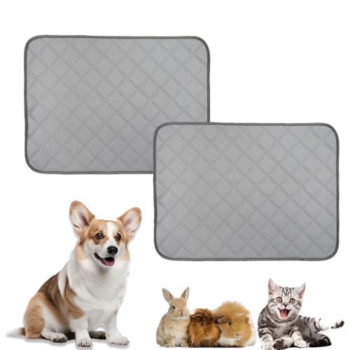 Mateju Waschbar Haustier-Urinunterlage Wiederverwendbare 2 Stück Welpenunterlagen Matte für Hunde, Trainingsunterlagen Welpen rutschfest Saugfähig für Haus Reise Haustierkiste (30x30cm,Grau) von Mateju