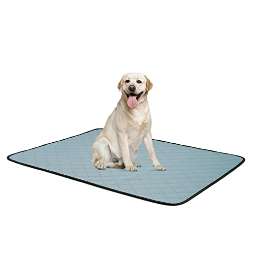 Mateju Welpenunterlagen Welpen Hunde Trainingsunterlagen Haustier-Urinunterlage rutschfest Saugfähig Wiederverwendbare Mehrere Größen Matte für Haus Reise Haustierkiste (60x120cm,Blau) von Mateju