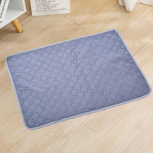 Mateju Wiederverwendbare Puppy Pads, 2 Stück - Welpen Unterlage Urin Absorption PIPI Matten für Hunde Welpenunterlagen, Waschbar Trainingspads für Hunde Katze (30x50cm,E) von Mateju