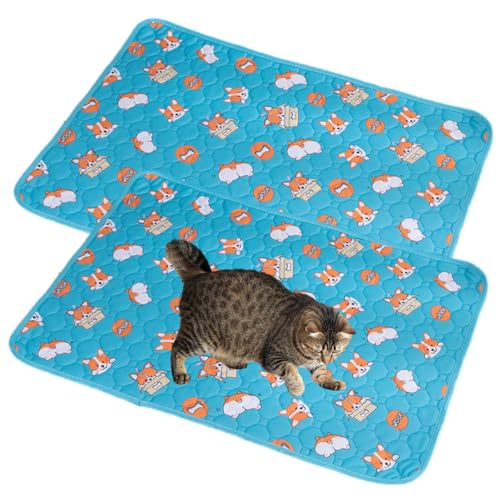 Mateju Wiederverwendbare Puppy Pads, 2 Stück Welpen Unterlage Urin Absorption PIPI Matten für Hunde Welpenunterlagen, Waschbar Trainingspads für Hunde Katze (35x50CM,Blau Corgi) von Mateju