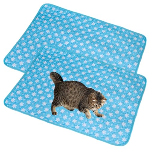 Mateju Wiederverwendbare Puppy Pads, 2 Stück Welpen Unterlage Urin Absorption PIPI Matten für Hunde Welpenunterlagen, Waschbar Trainingspads für Hunde Katze (35x50CM,Blauer Stern) von Mateju