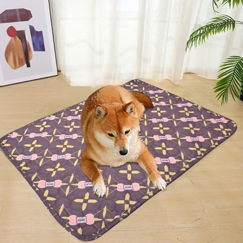 Mateju Wiederverwendbare Puppy Pads, 2 Stück - Welpen Unterlage Urin Absorption PIPI Matten für Hunde Welpenunterlagen, Waschbar Trainingspads für Hunde Katze (40x60cm,C) von Mateju