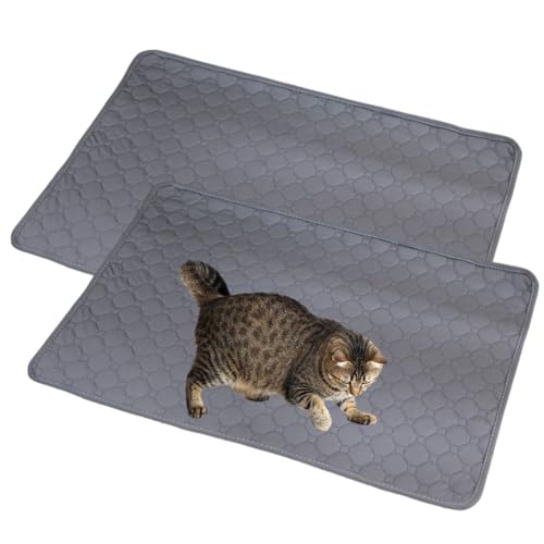 Mateju Wiederverwendbare Puppy Pads, 2 Stück Welpen Unterlage Urin Absorption PIPI Matten für Hunde Welpenunterlagen, Waschbar Trainingspads für Hunde Katze (45x60CM,Anthrazit) von Mateju