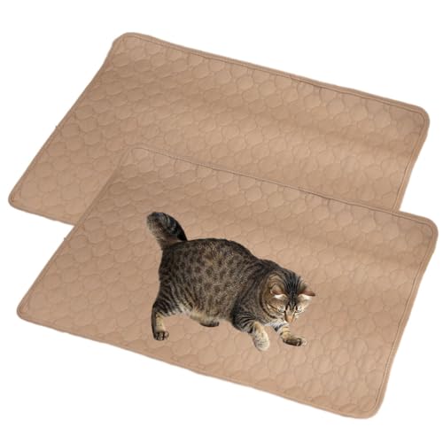 Mateju Wiederverwendbare Puppy Pads, 2 Stück Welpen Unterlage Urin Absorption PIPI Matten für Hunde Welpenunterlagen, Waschbar Trainingspads für Hunde Katze (70x100CM,Hellbraun) von Mateju