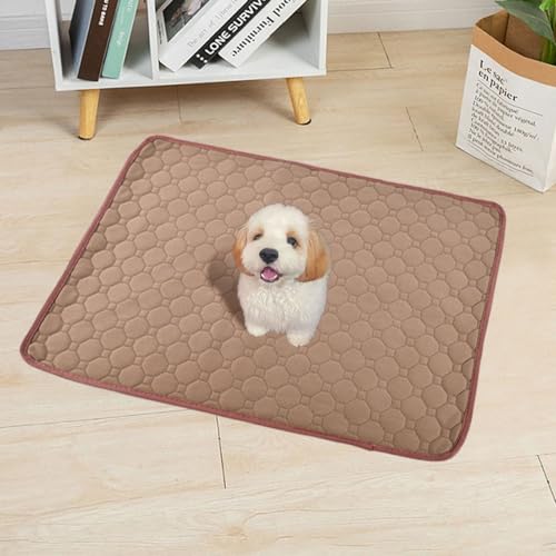 Mateju Wiederverwendbare Puppy Pads, 2 Stück - Welpen Unterlage Urin Absorption PIPI Matten für Hunde Welpenunterlagen, Waschbar Trainingspads für Hunde Katze (90x150cm,F) von Mateju