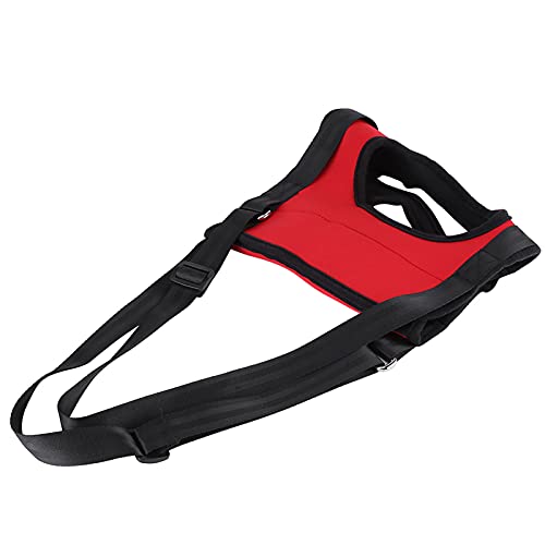 Hundebein Stützgurt Walking Aid Heben Ziehen Weste für Alte und Verletzte Hunde (Rote Hinterbeine l) von Matybobe