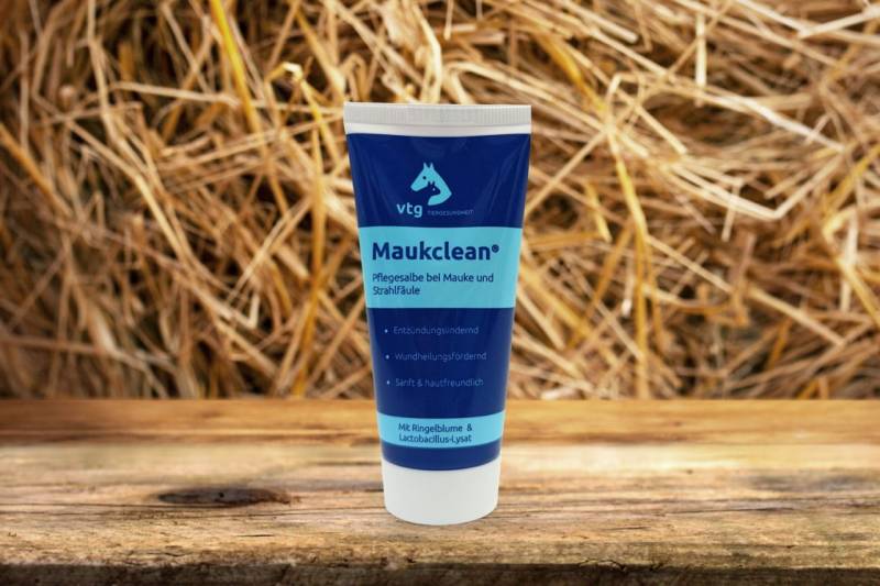Maukclean Salbe 60 ml Tube Maukclean Salbe 60 ml Tube von Maukclean