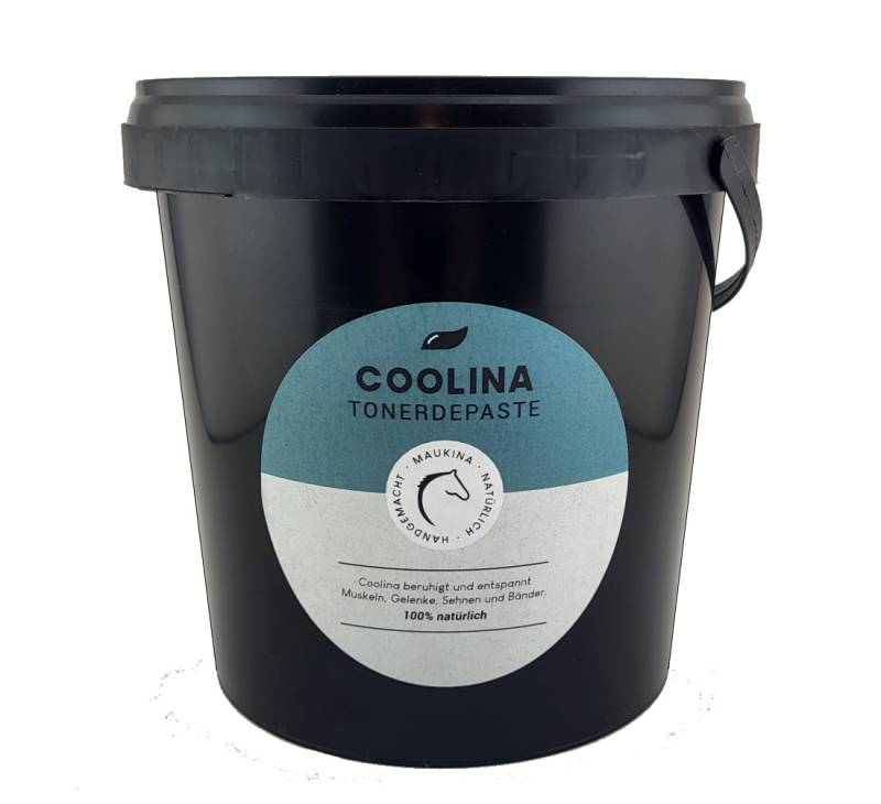 Maukina - Coolina Essigsaure Tonerdepaste 1,5kg Für coole Muskeln, Sehnen und Bänder Maukina - Coolina Essigsaure Tonerdepaste 1,5kg Für coole Muskeln, Sehnen und Bänder von Maukina