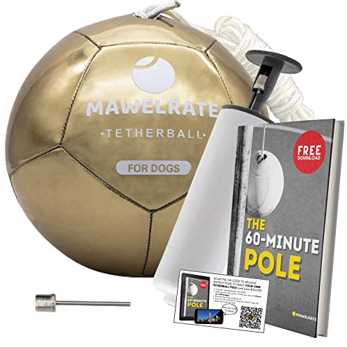 MAWELRATE Langlebiger Tetherball für Hunde – perfektes strapazierfähiges Outdoor-Hundespielzeug – robuster Ball und Seil für stundenlangen Spaß – interaktiver Hunde-Seilball MAWELRATE Langlebiger Tetherball für Hunde – perfektes strapazierfähiges Outdoor-Hundespielzeug – robuster Ball und Seil für stundenlangen Spaß – interaktiver Hunde-Seilball von Mawelrate