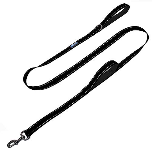Hundeleine, strapazierfähig, doppelter Griff, reflektierendes Nylon, 1,8 m – Wir spenden eine Leine an einen Hund Rettung für jede Leine von Max and Neo