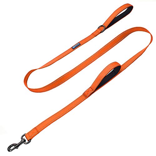 Max and Neo Hundeleine mit doppeltem Griff, reflektierend, 1,2 m, Orange Max and Neo Hundeleine mit doppeltem Griff, reflektierend, 1,2 m, Orange von Max and Neo