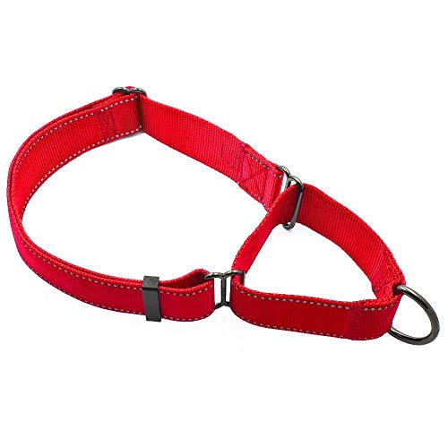 Max and Neo Martingale-Hundehalsband, Nylon, extra groß, Rot von Max and Neo