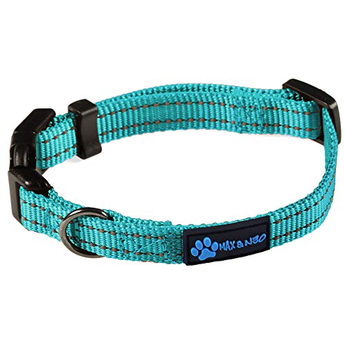 Max and Neo NEO Reflektierendes Hundehalsband aus Nylon mit Schnalle, X-Small, blaugrün von Max and Neo